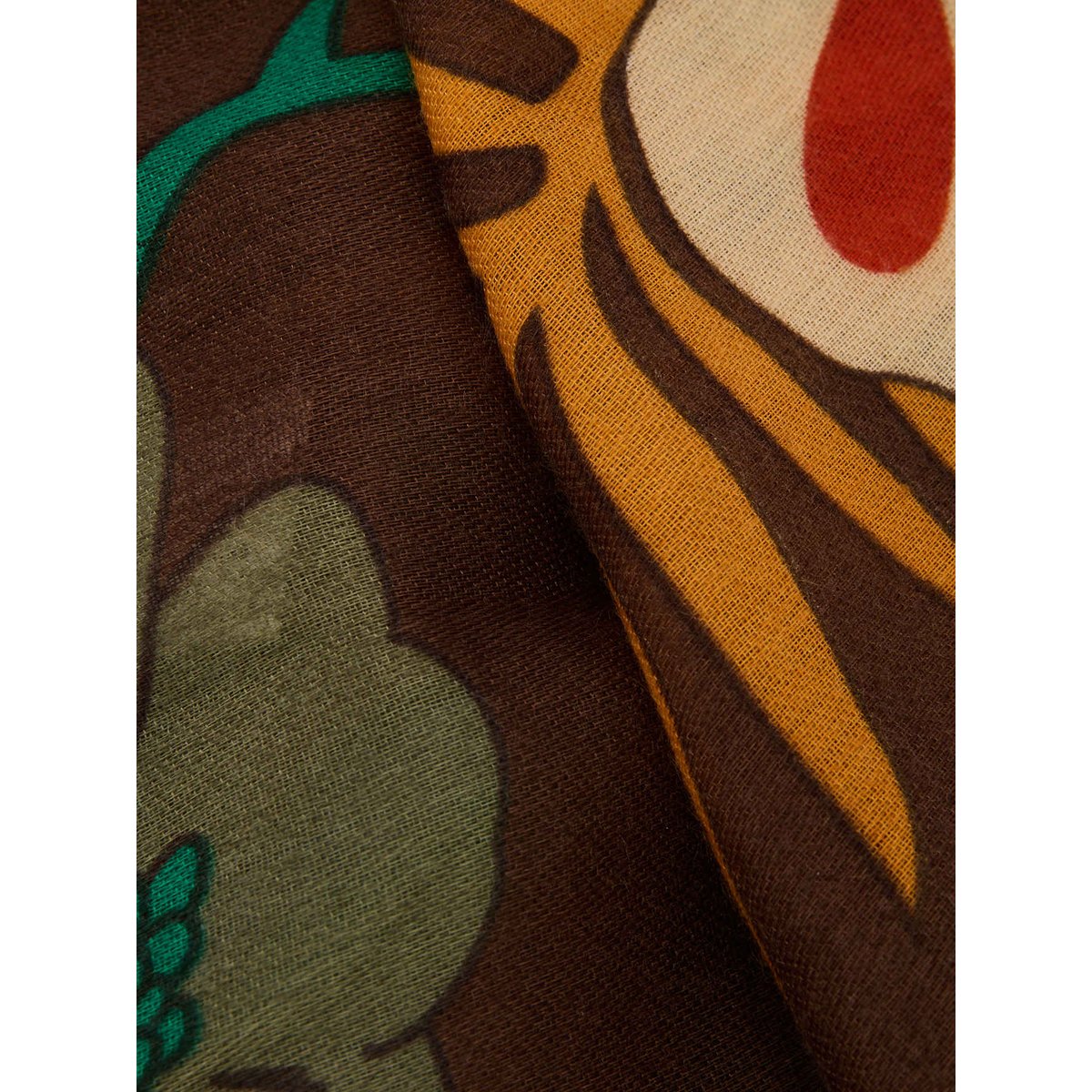 Etole fleurie marron, DAXON