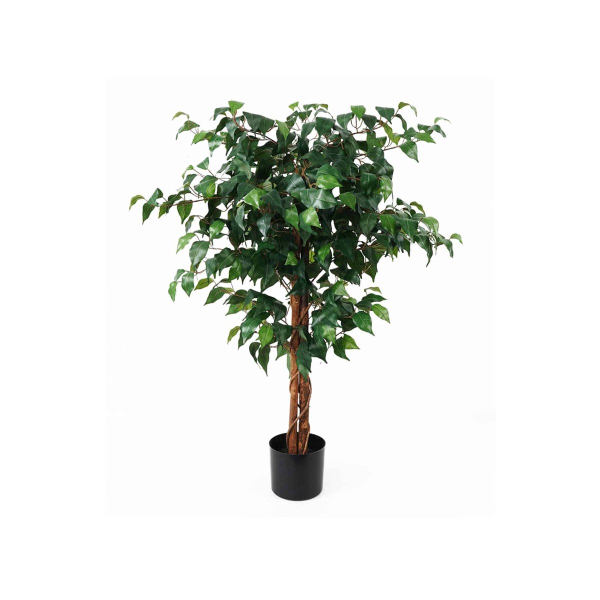 Plante Artificielle Plastique FIG FICUS vert, PRESENT TIME