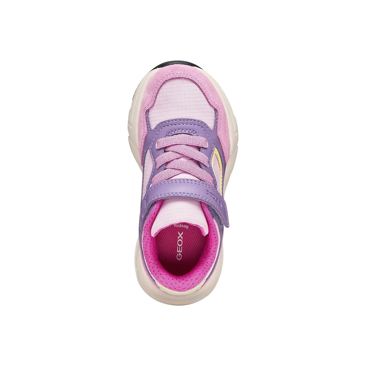 Baskets respirantes, LOFTUS rose, GEOX
