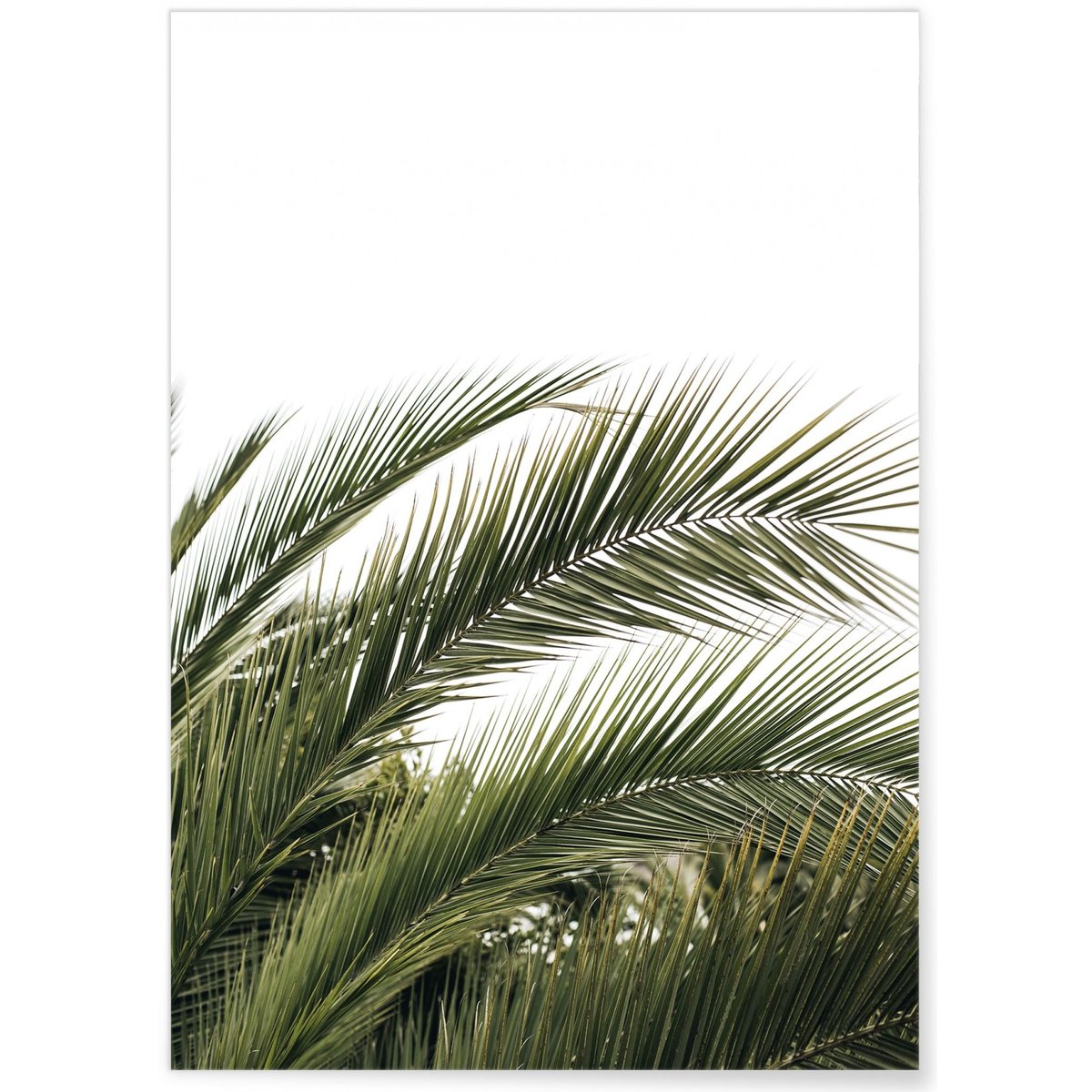 Poster Nature verte n°3 blanc, L'AFFICHERIE