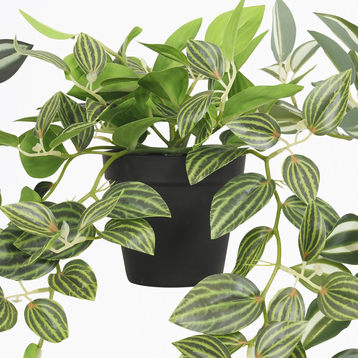 Plante verte artificielle tombante 50cm lot de 3 vert, LIGNE DECO