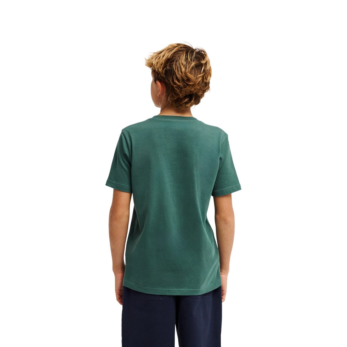T-Shirt manches courtes PARADISE POINT Y vert forest, QUIKSILVER