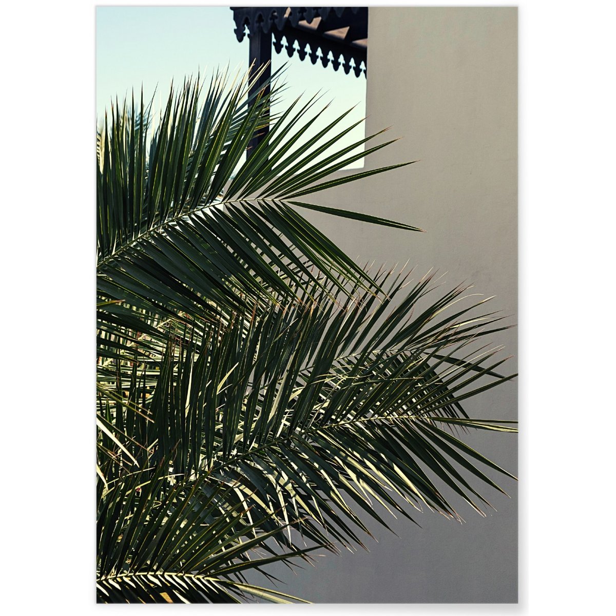 Affiche Nature Palmier blanc, L'AFFICHERIE