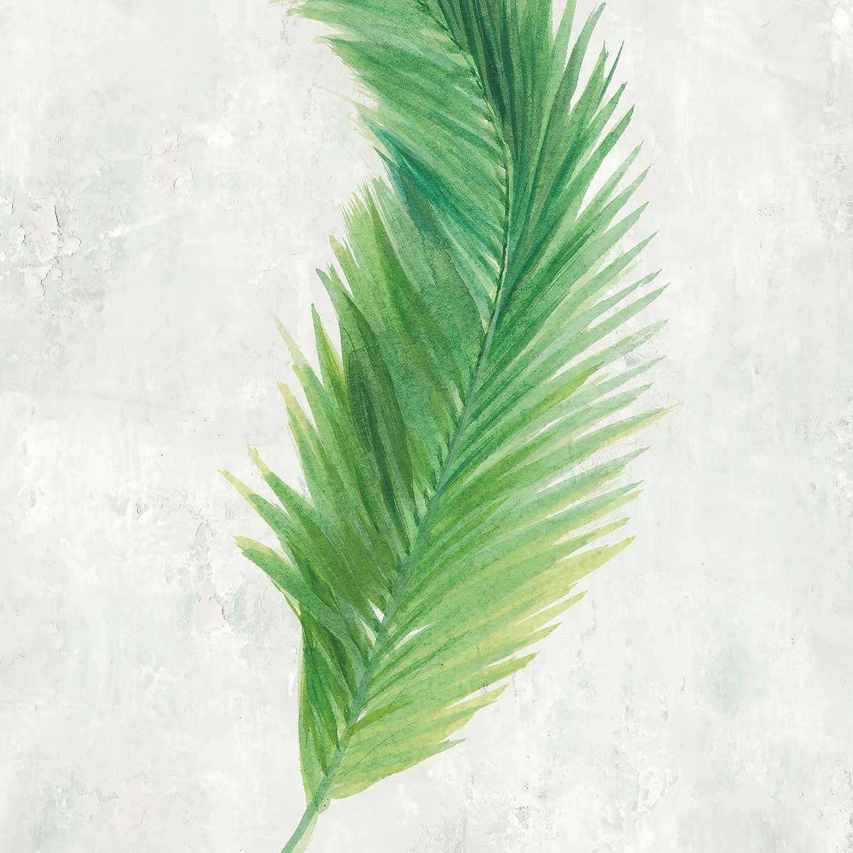 Tableau fleurs tropicale illustrée tableau alu dibond, HEXOA