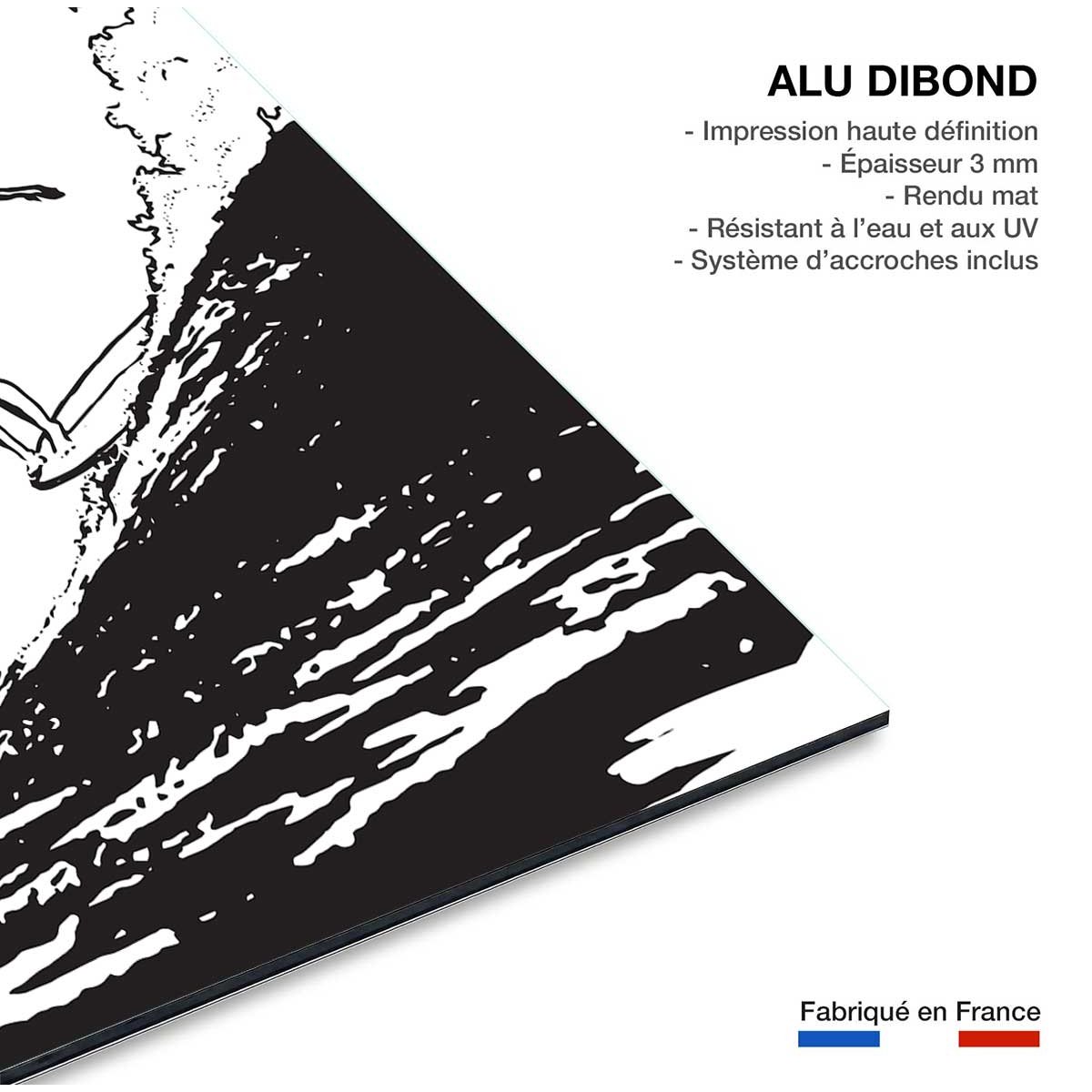 Tableau surfeuse longboard tableau alu dibond, HEXOA