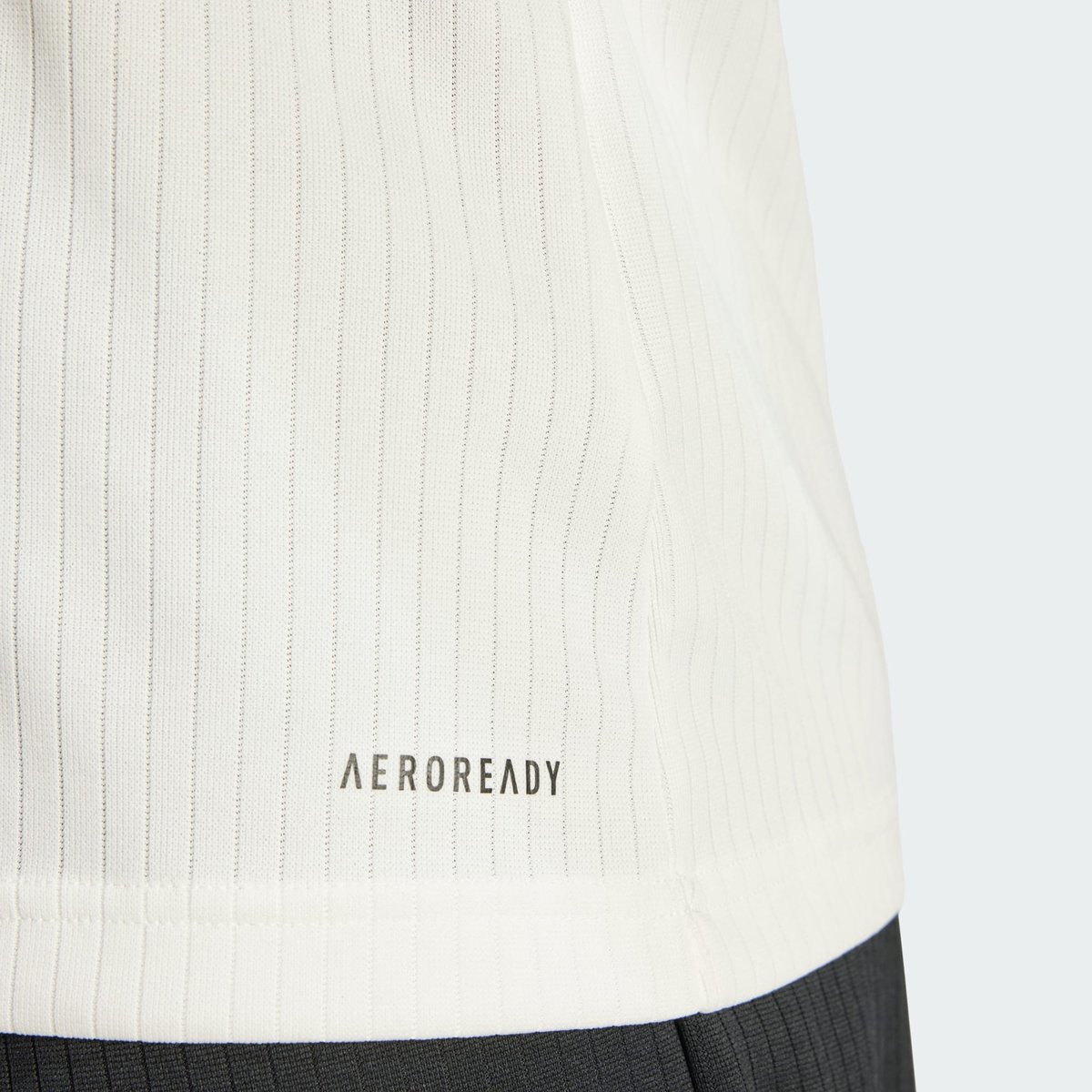 Maillot Allemagne Anniversary Maillot Allemagne Anniversary cloud white / black, adidas Performance