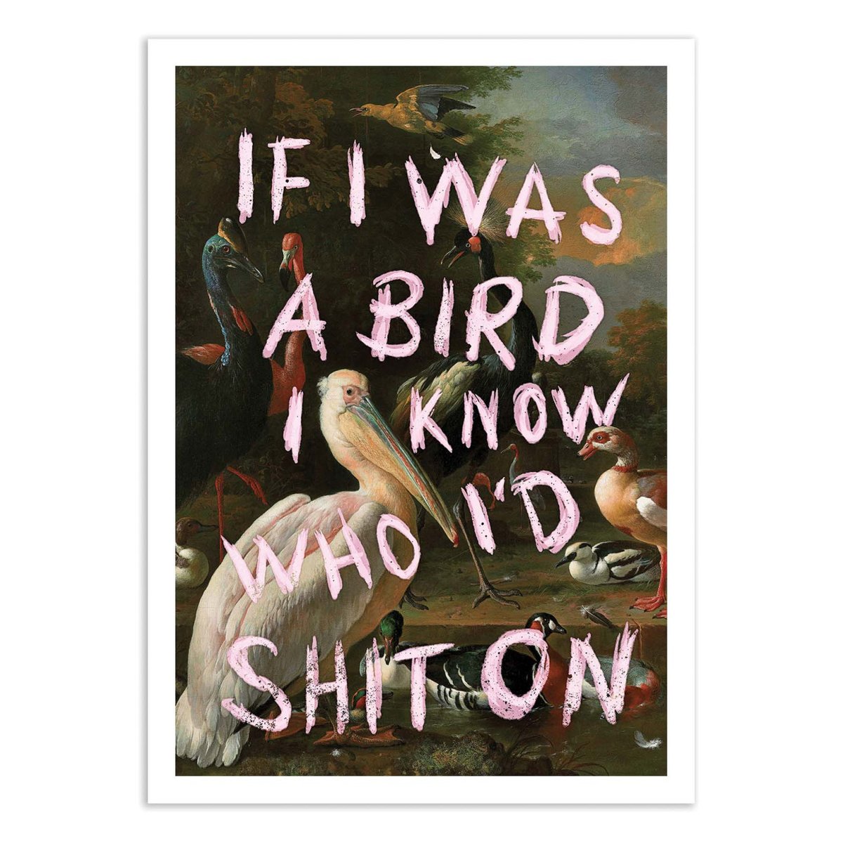 Affiche d'art - If I was a bird - Jonas Loose couleur unique, WALL EDITIONS