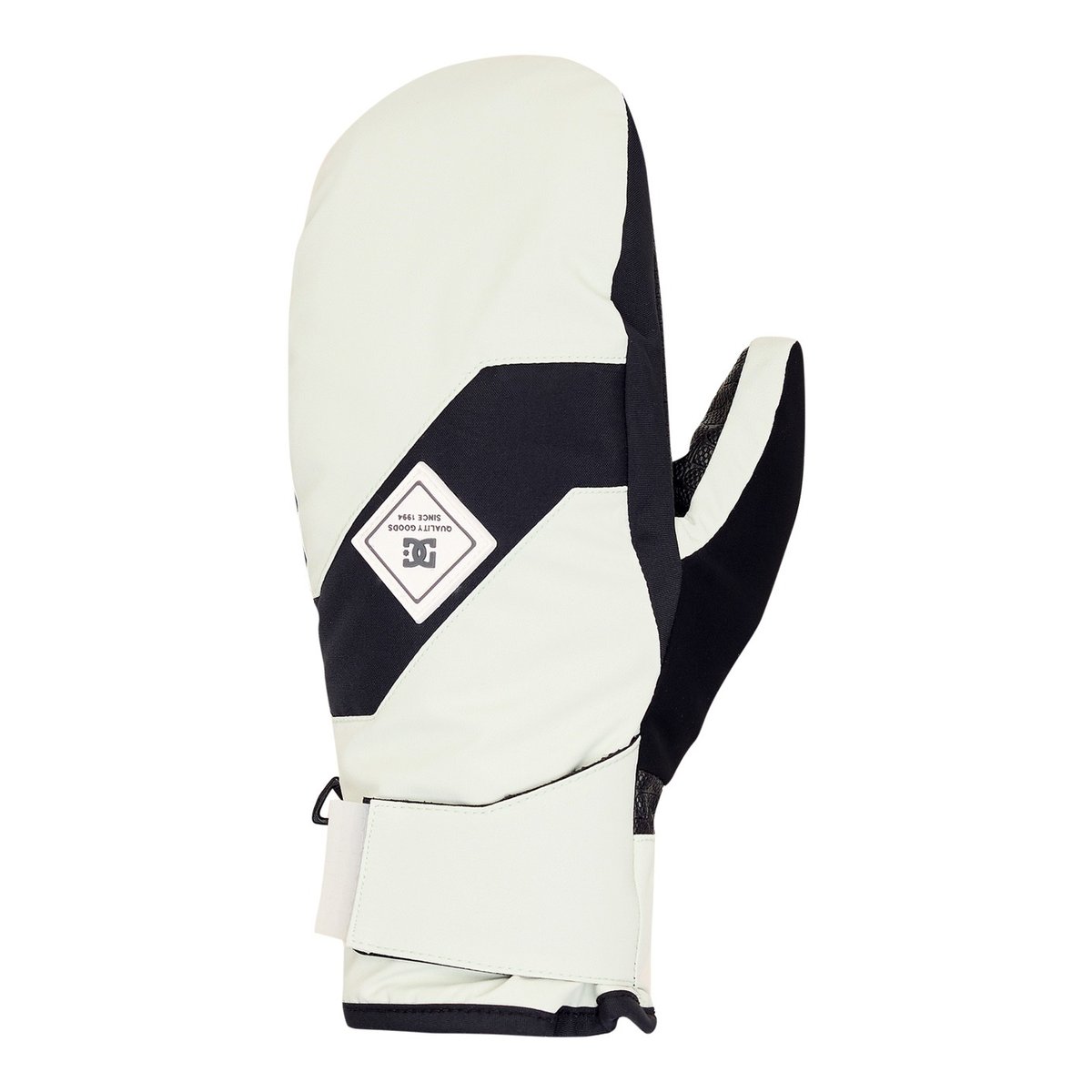 Moufles techniques ski/snowboard FRANCHISE. vert pale aqua, DC SHOES