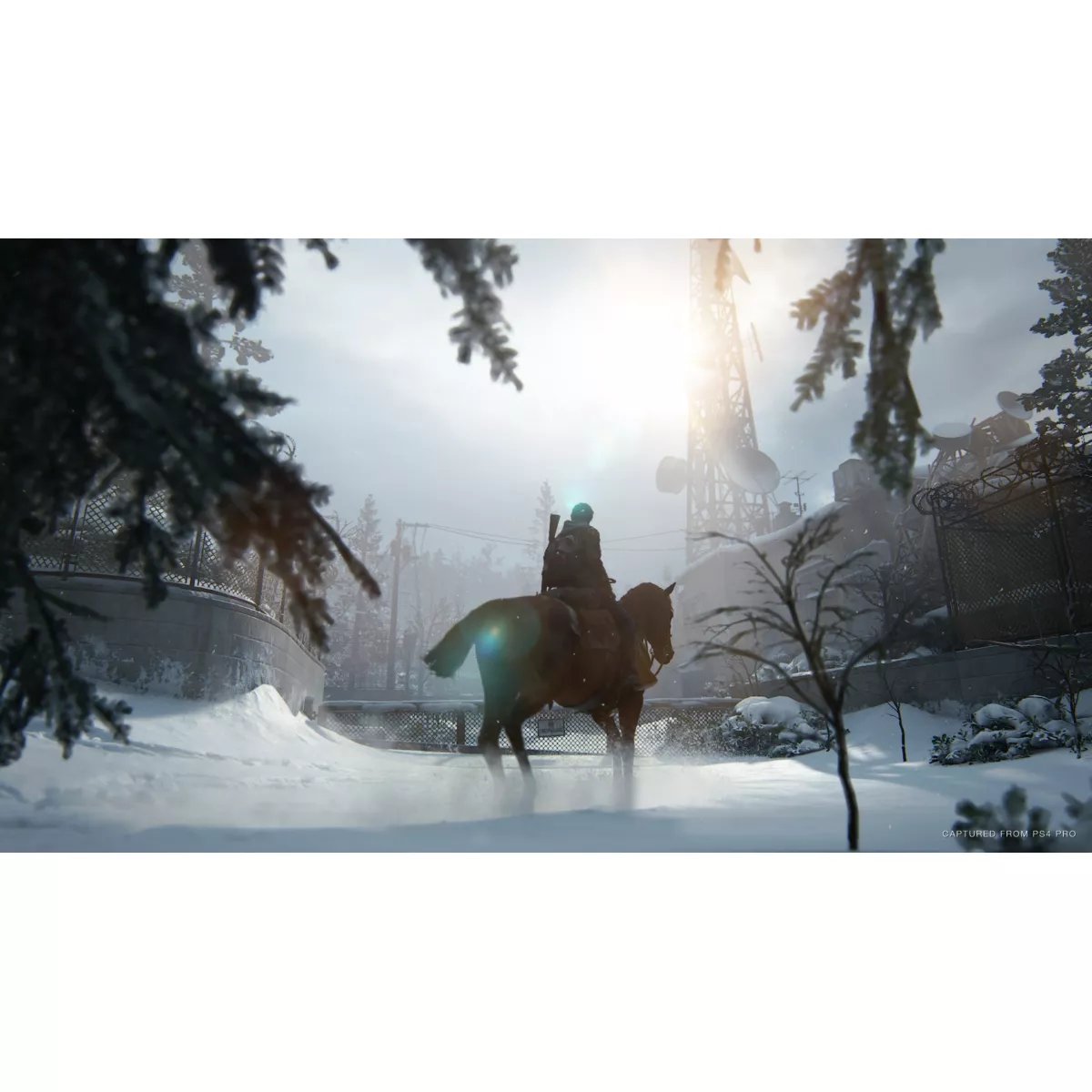 Jeu Ps4 The Last Of Us 2 couleur unique, SONY