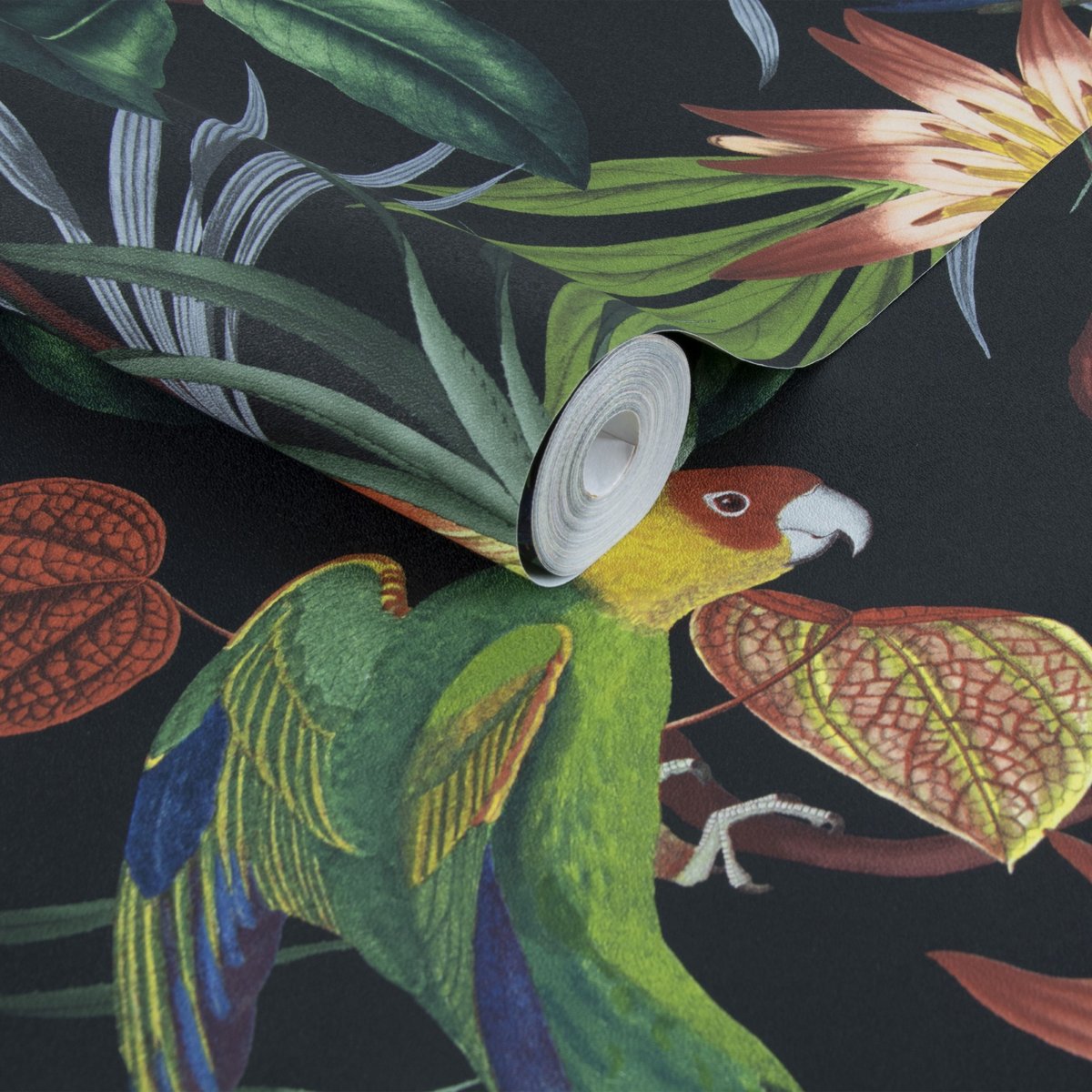 Papier peint Oiseaux Perroquet des îles noir, WOW