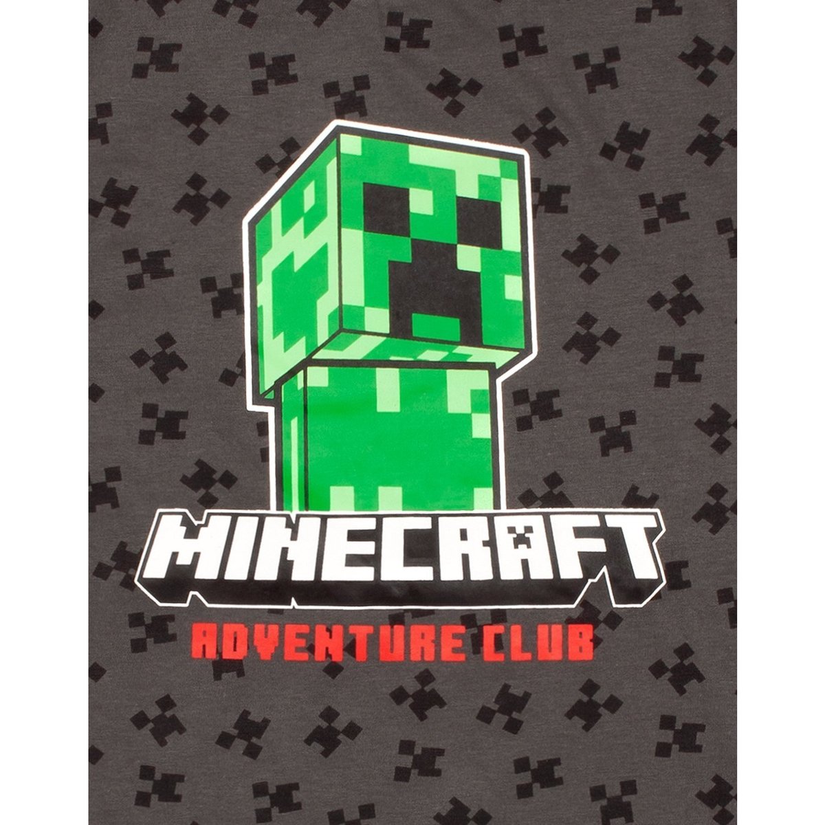 T-shirt gris, MINECRAFT