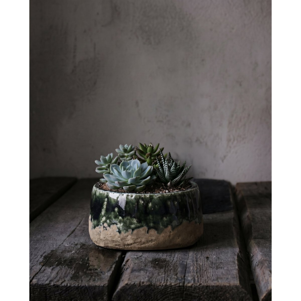 Cache-pot en grès cérame MOSS vert forêt, BAZAR BIZAR