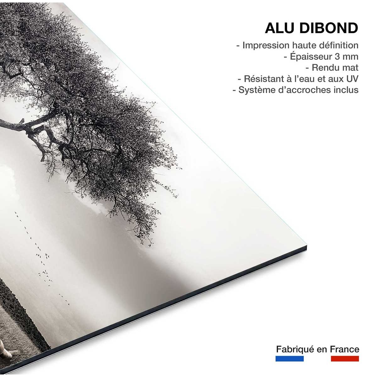 Tableau animaux sous le soleil d' afrique tableau alu dibond, HEXOA