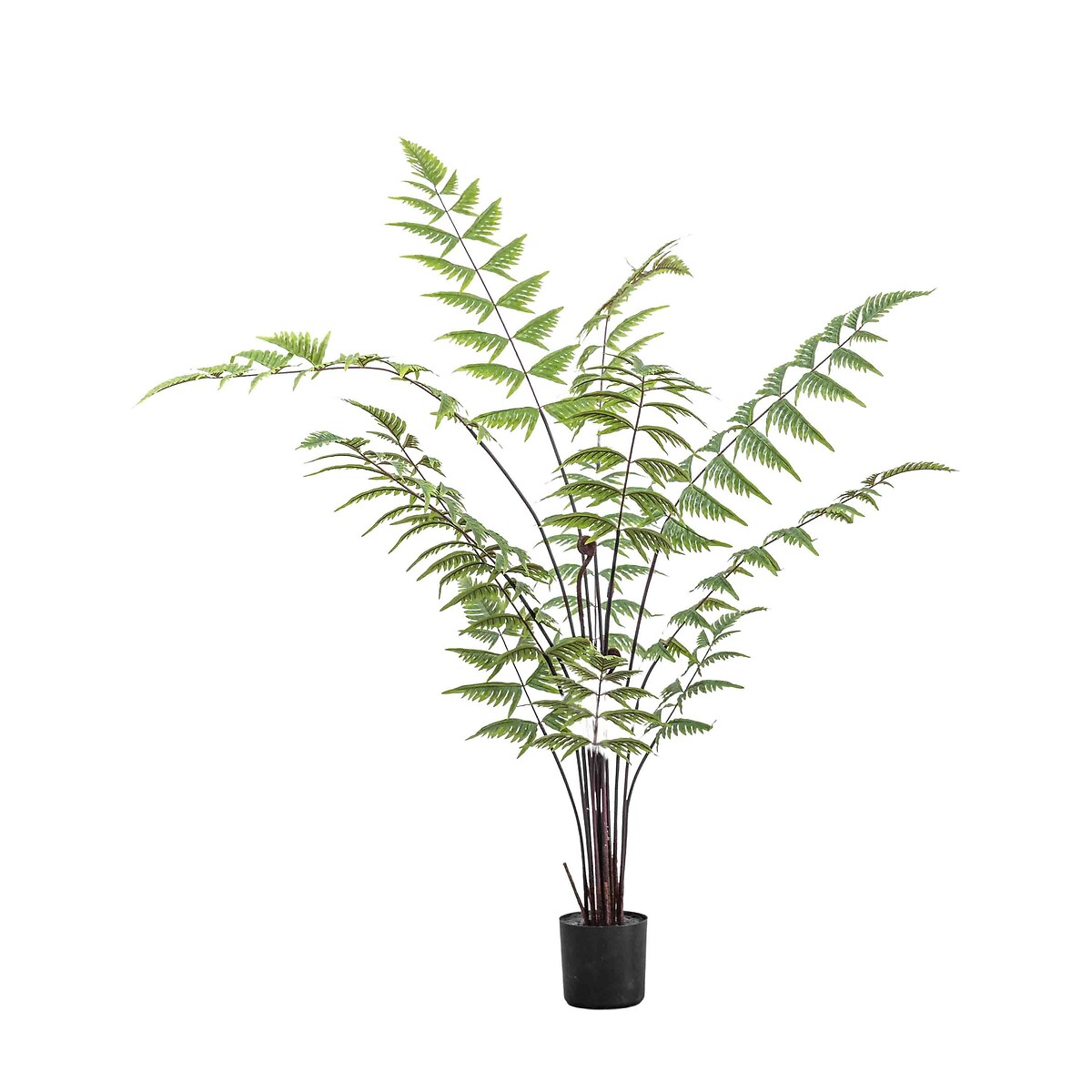 120cm Faux Butterfly Fern Plant green, ÉDITÉ