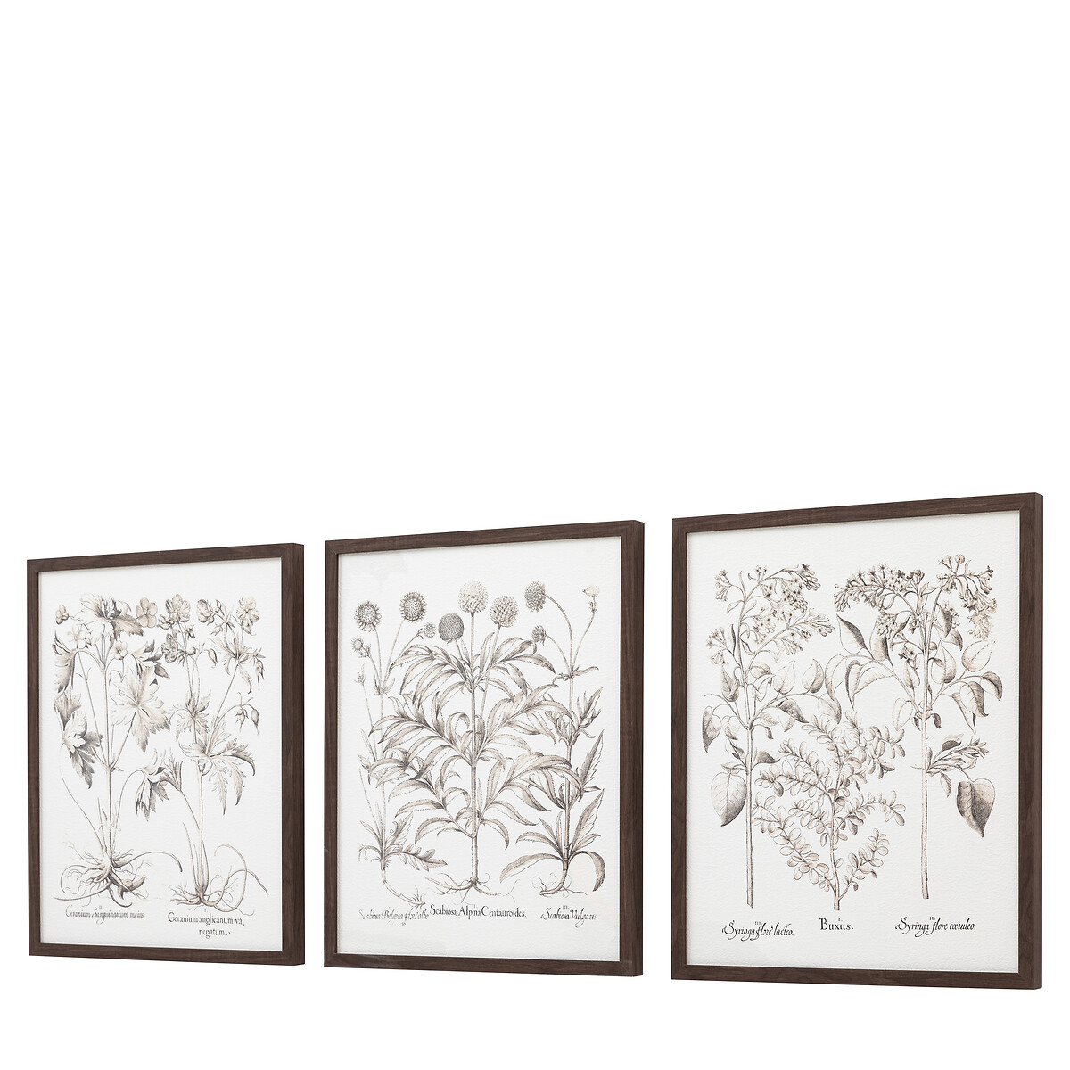 Set of 3 Evergreen Framed Art black, ÉDITÉ
