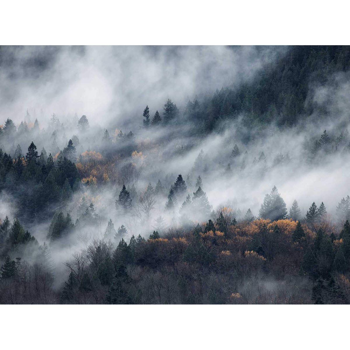 Papier peint un chemin du brouillard intissé, HEXOA