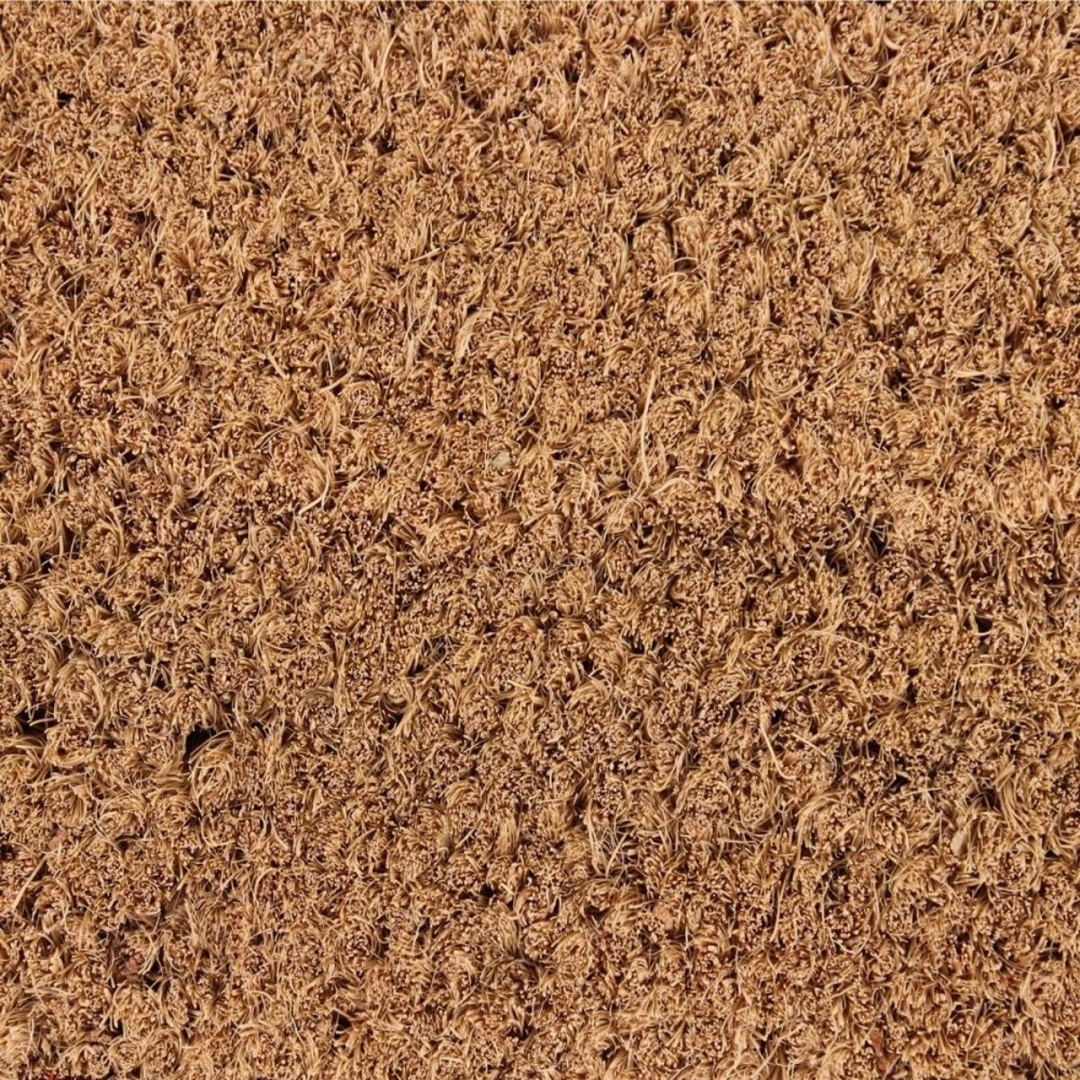 Paillasson coco contour feston 40x60cm vert, ORNAMI