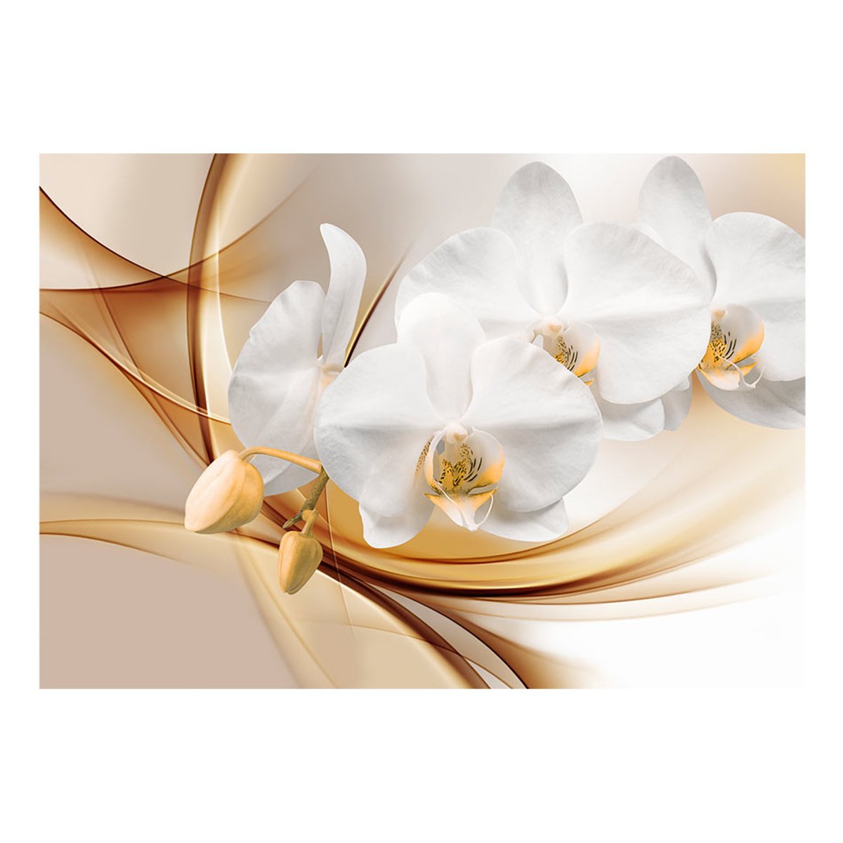 Papier peint intissé panoramique Fleurs Orchid blossom gris / argent, EDEN