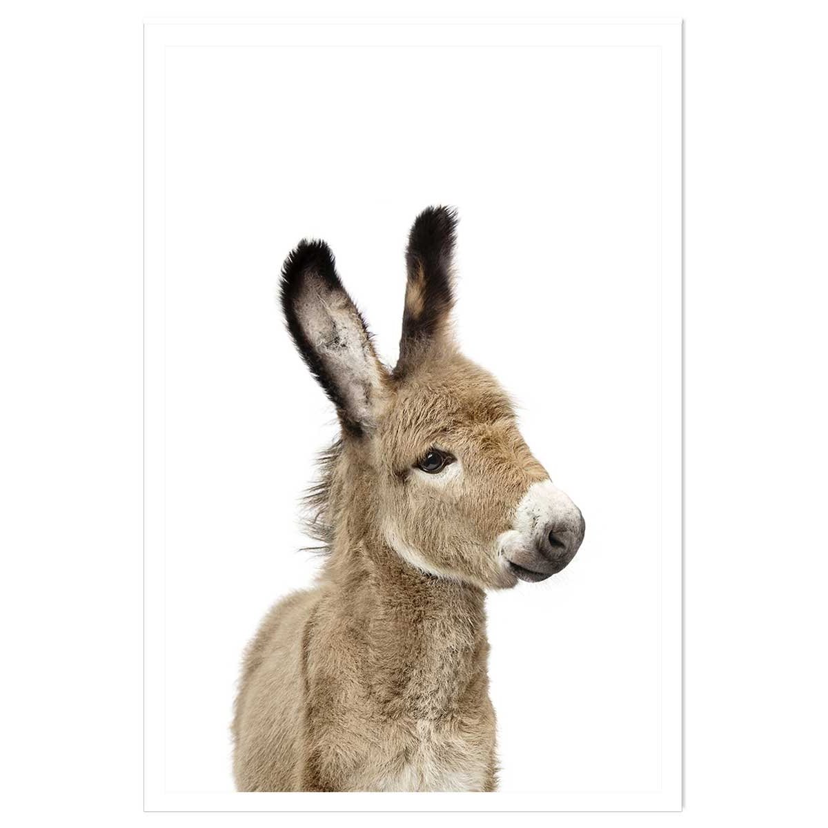 Affiche enfant anon affiche seule, HEXOA