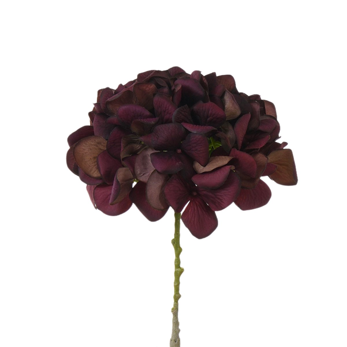 Tige d’hortensia artificielle H63 marron, SIA DECO