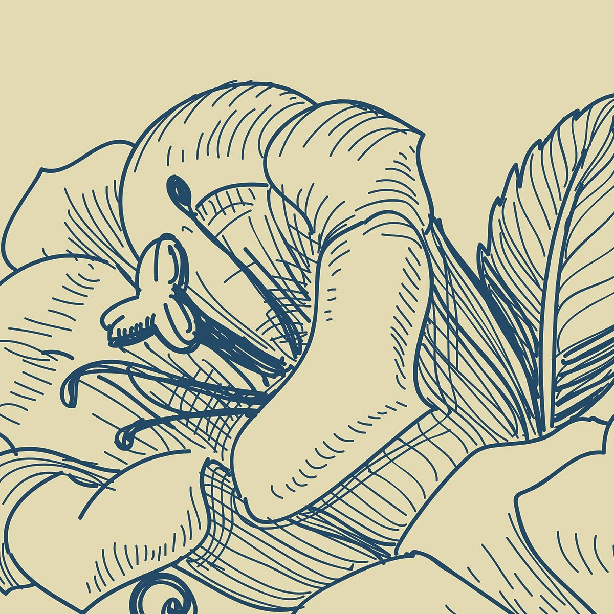 Papier peint fleurs d encre intissé, HEXOA