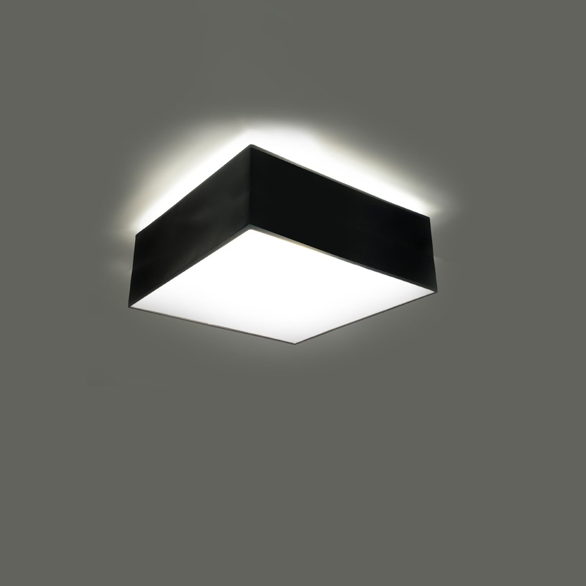 Plafonnier PVC Noir E27 1 Horus noir, EDEN