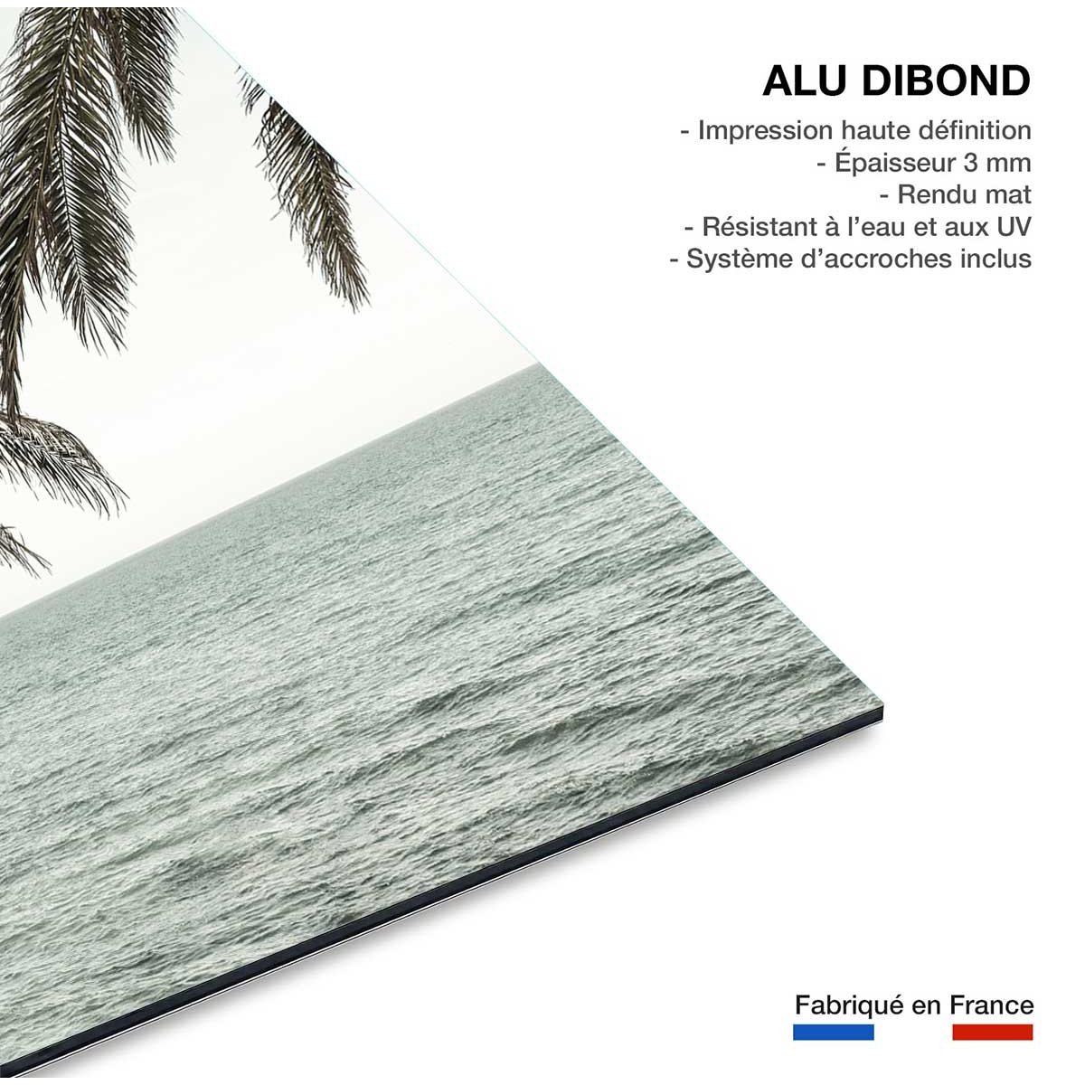 Tableau plage tropicale secrète tableau alu dibond, HEXOA