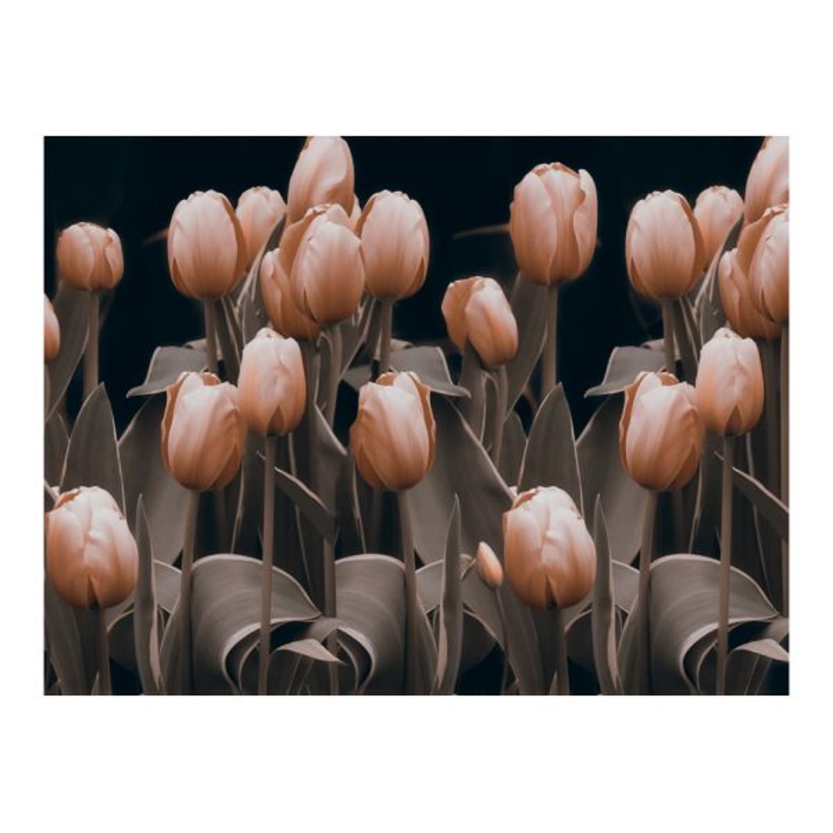 Papier peint intissé panoramique Fleurs Ladies among the flowers noir, EDEN