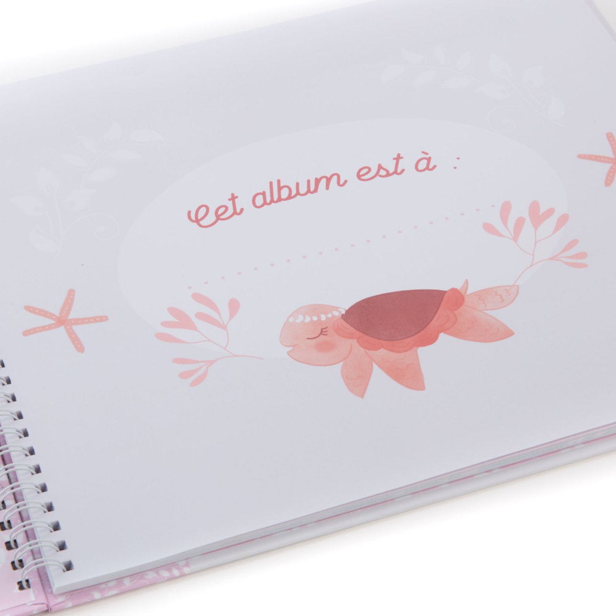 Album de classe Venus rose, AMADEUS
