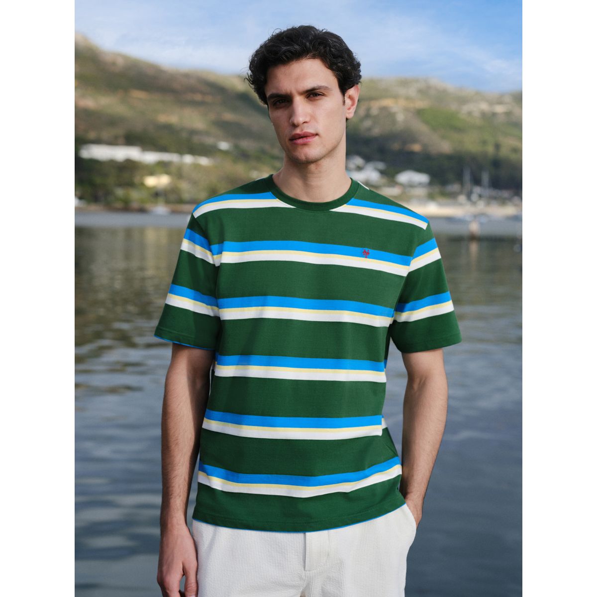 T-shirt à rayures horizontales vert/bleu, NEXT