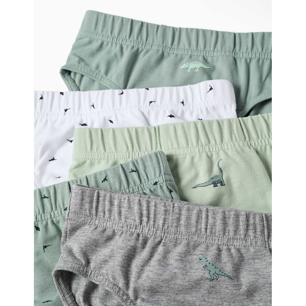 Lot de 5 slips en coton avec imprimés dinosaures multicolore, ZIPPY
