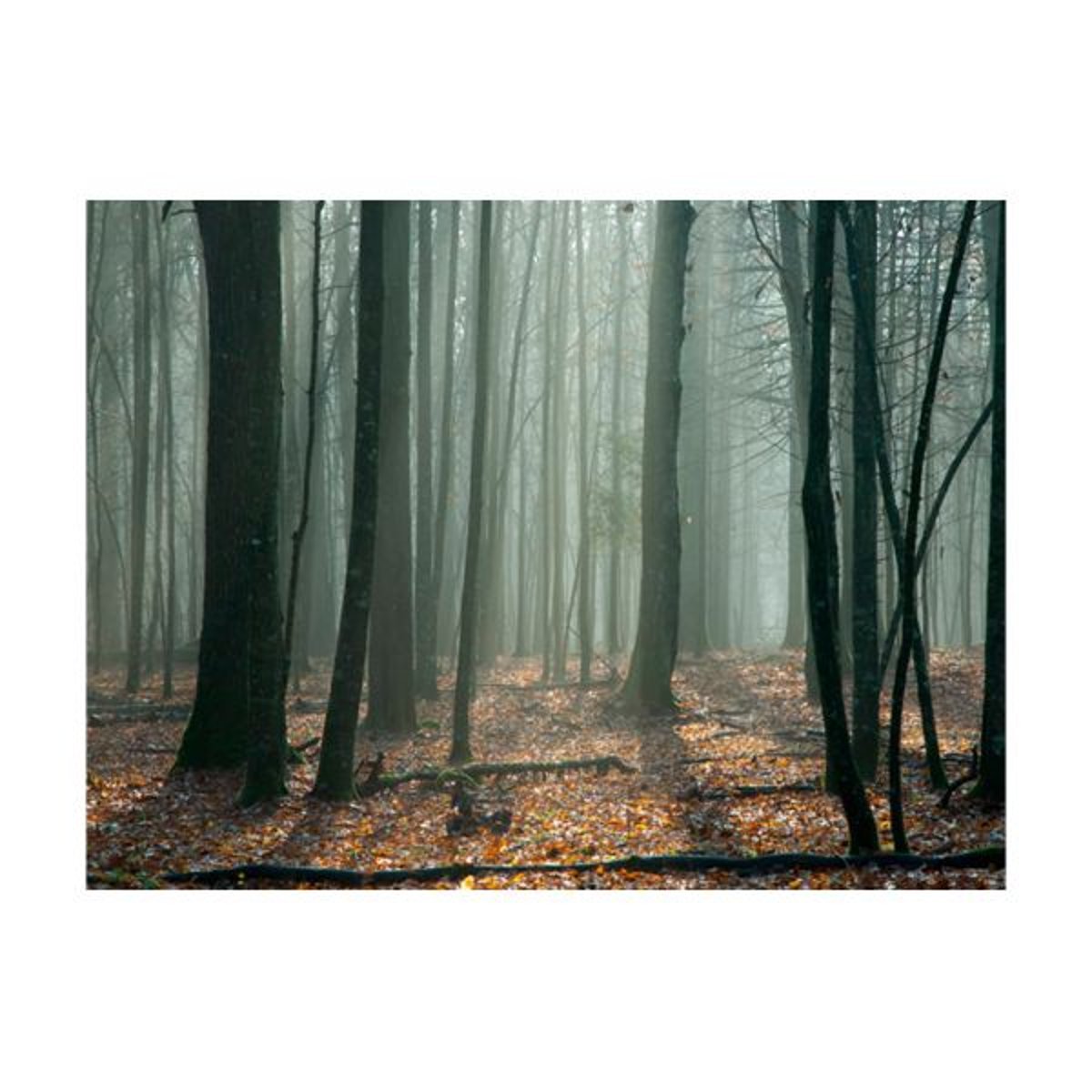 Papier peint intissé panoramique Paysage Witches' forest orange / cuivré, EDEN