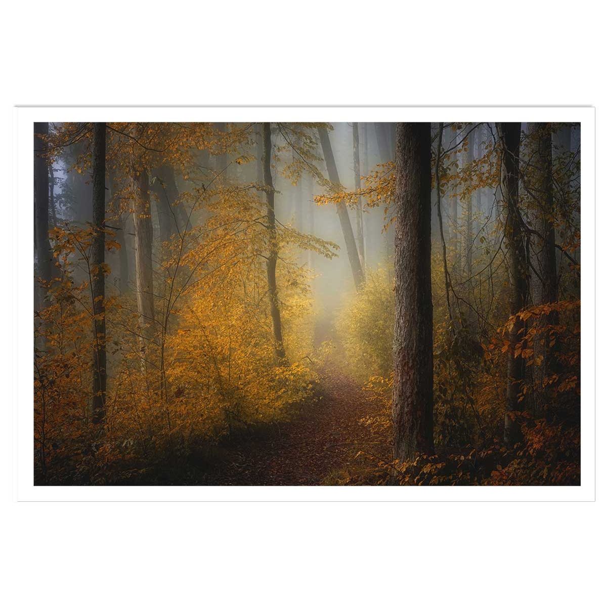 Affiche l'arbre et l'automne rouge affiche seule, HEXOA