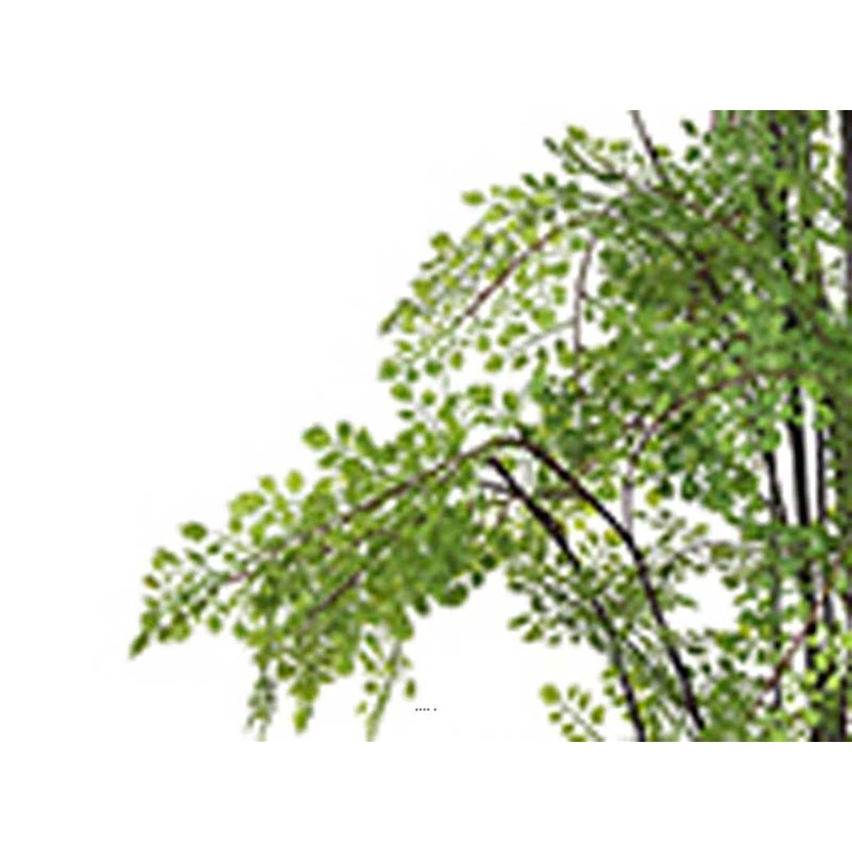 Fougère adiantum artificielle sur pied, blanc, ARTIFICIELLES
