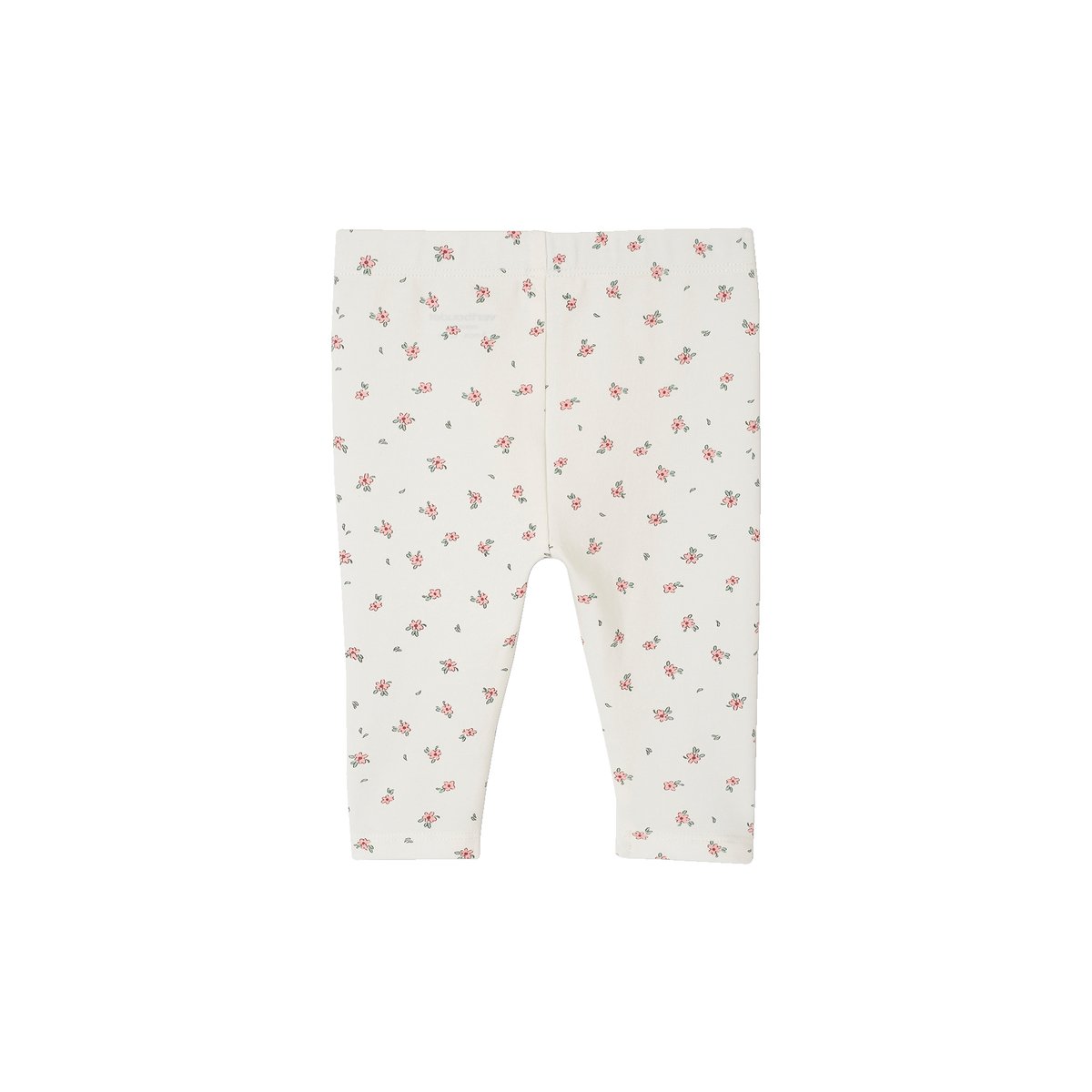 Lot de 2 leggings Basics vert sauge, VERTBAUDET