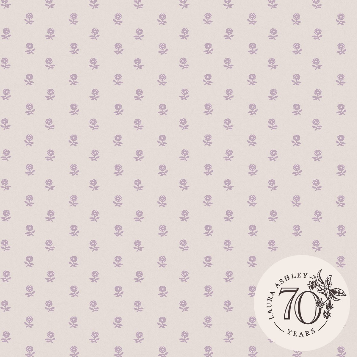 Papier peint Fleur de paquerette Daisy violet, LAURA ASHLEY