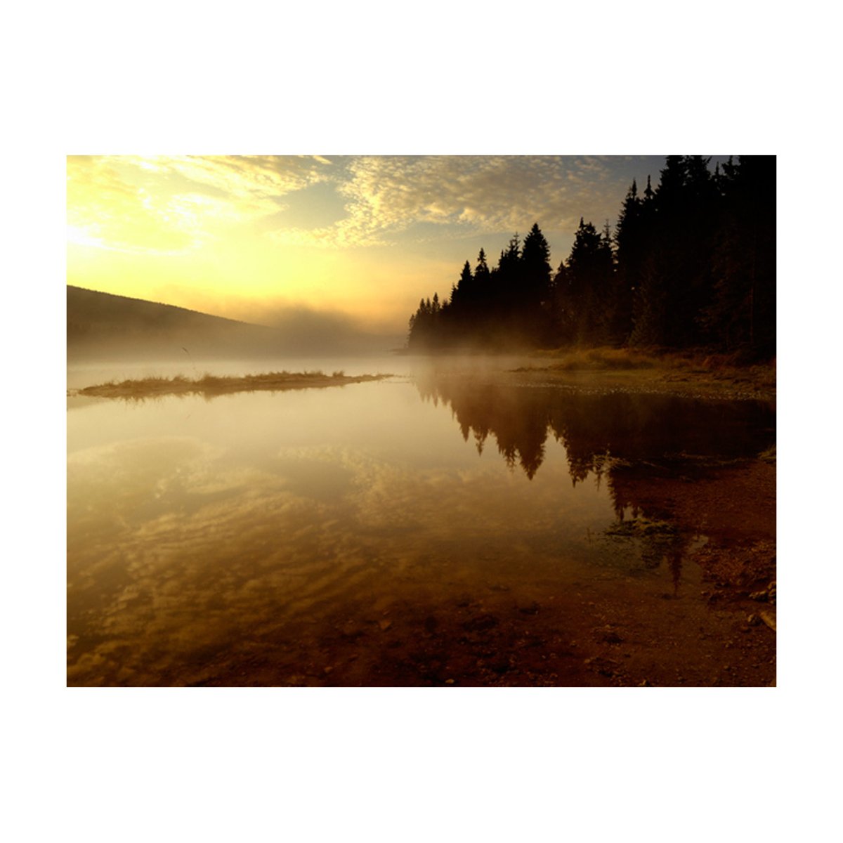 Papier peint intissé panoramique Paysage Forêt et lac multicouleur, EDEN