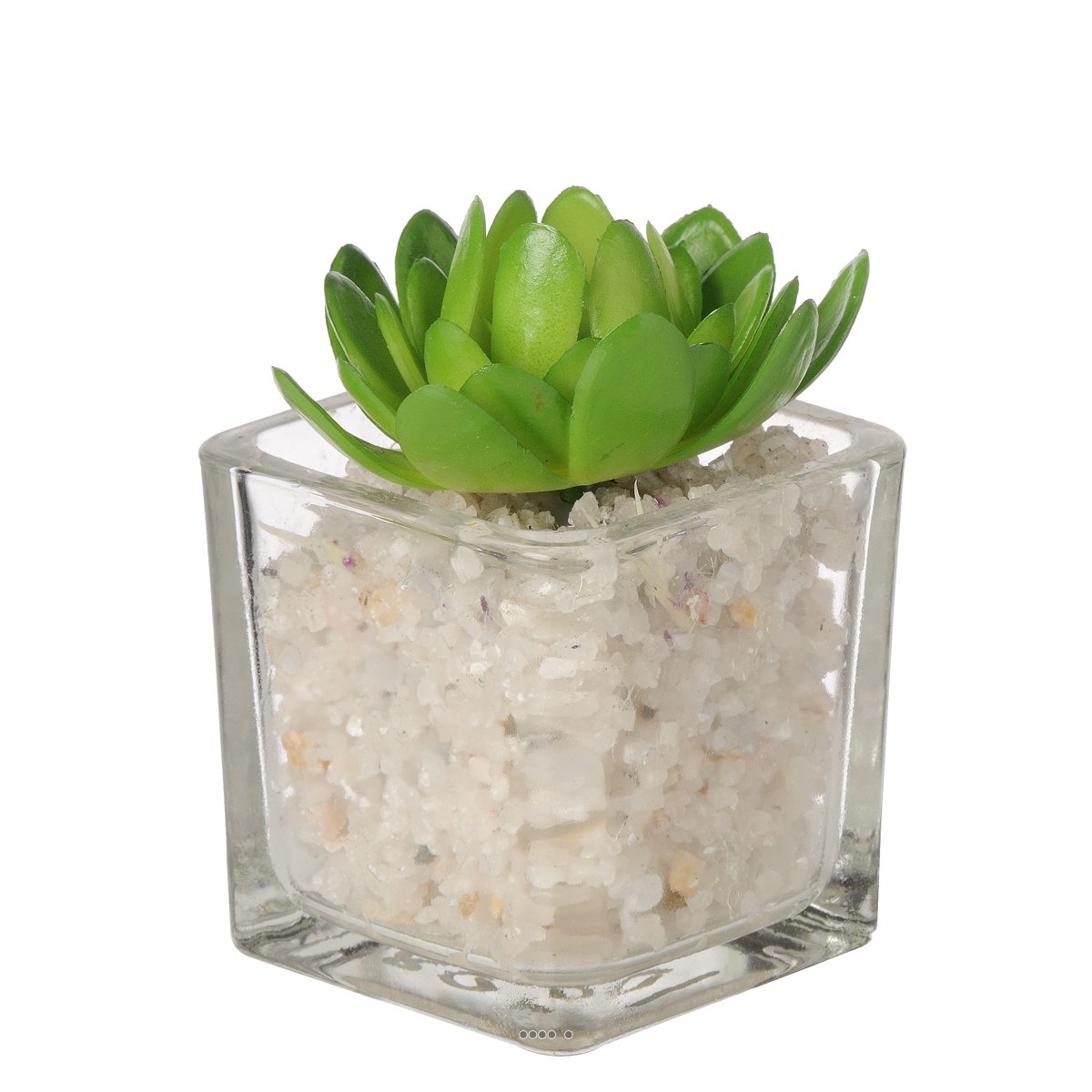 Echeveria artificielle succulente en pot vert, ARTIFICIELLES