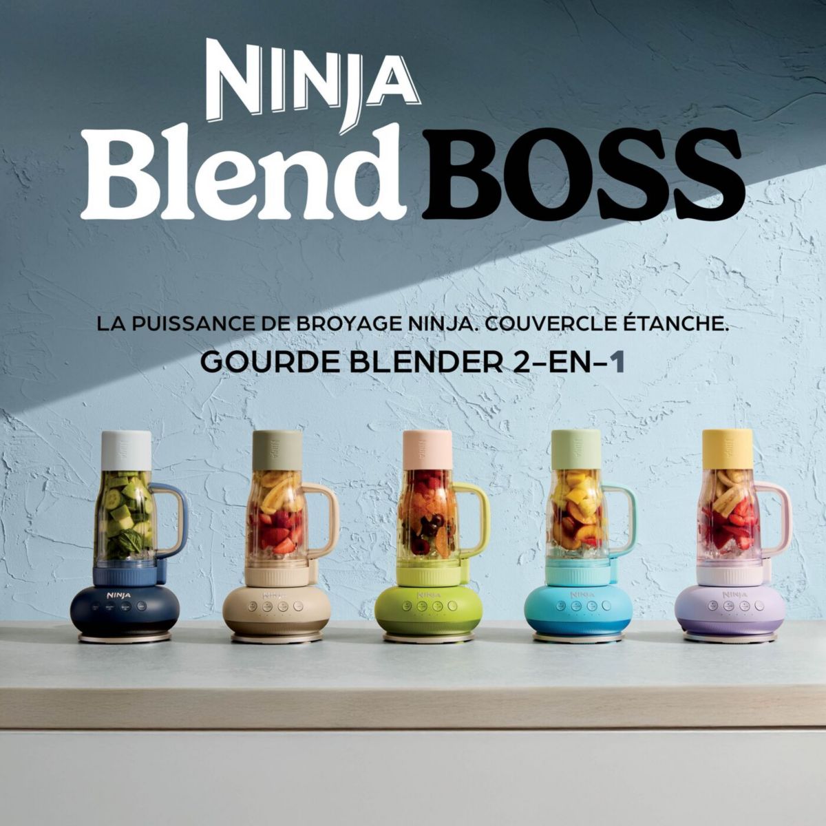 Blender BlendBoss Stone DB351EUST avec gourde 0,8 L couleur unique, NINJA