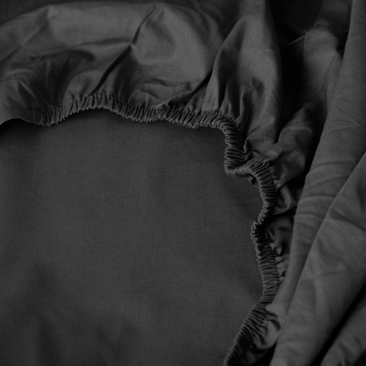 Drap housse percale de coton NÉO anthracite, CARRE BLANC