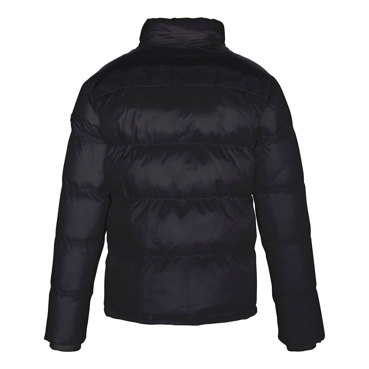 Doudoune unisexe noir, SCHOTT