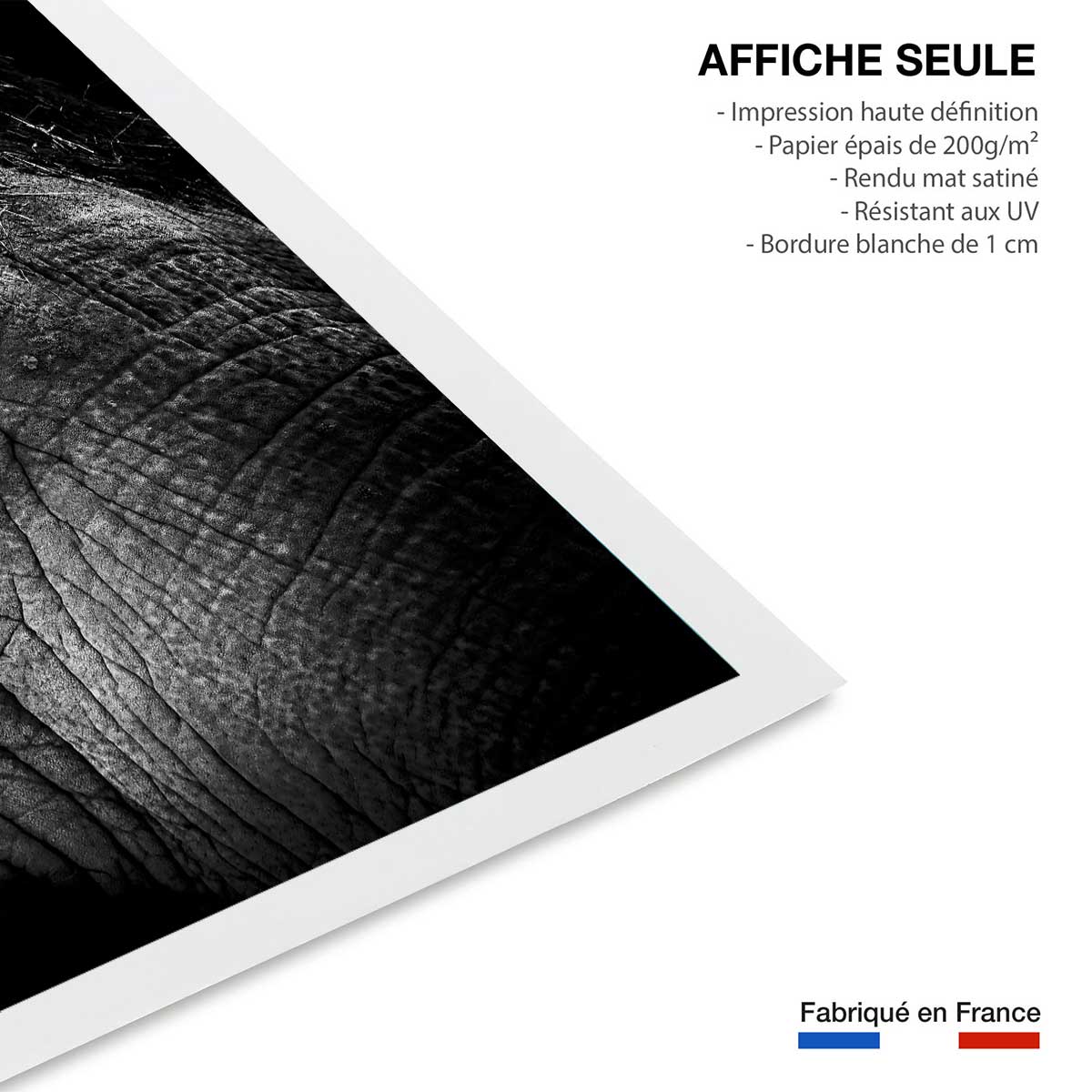 Affiche éléphant close up affiche seule, HEXOA