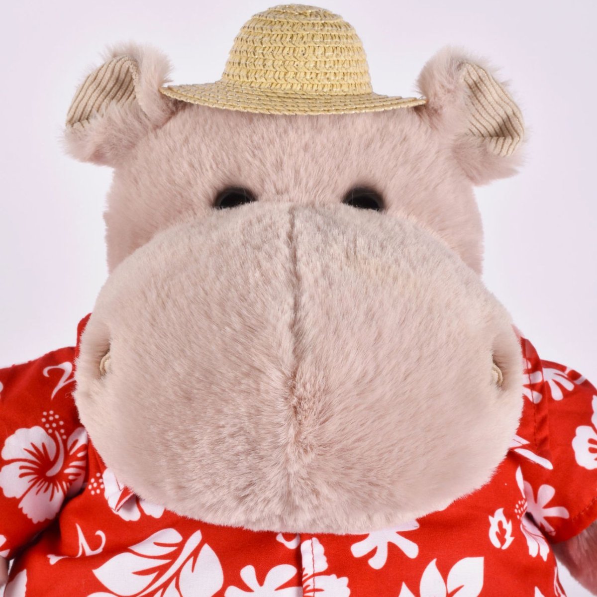 Peluche marron, HISTOIRE D'OURS