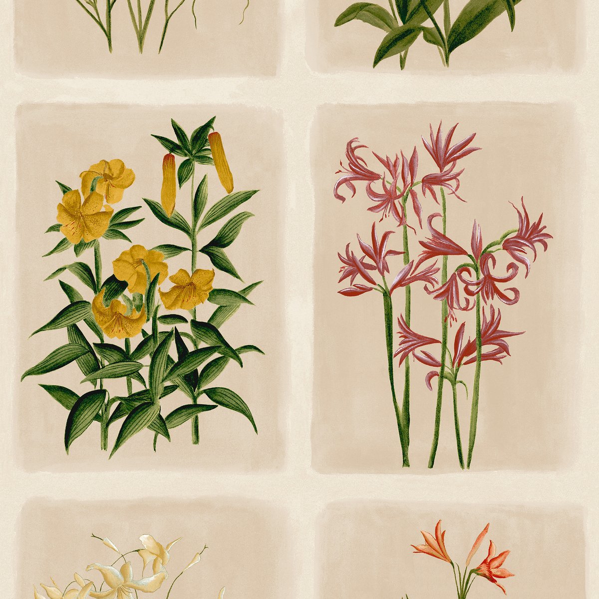 Papier peint botanique Mille fleurs Pershore Postcards multicolore, LAURA ASHLEY