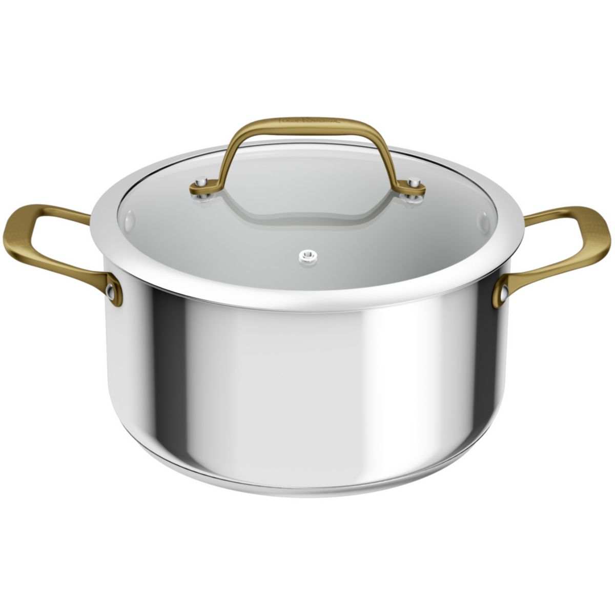 Faitout 24cm Edition Bocuse argenté, TEFAL