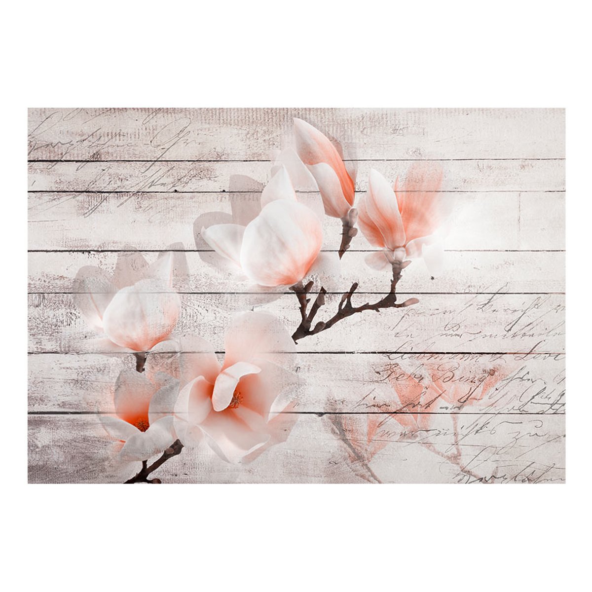 Papier peint intissé panoramique Fleurs Subtlety of the Magnolia gris / argent, EDEN