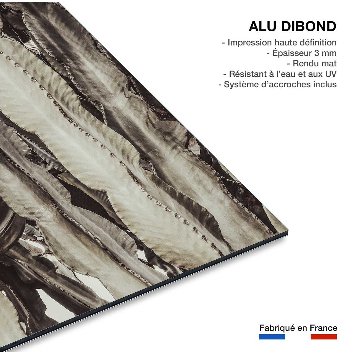 Tableau cactus mood tableau alu dibond, HEXOA
