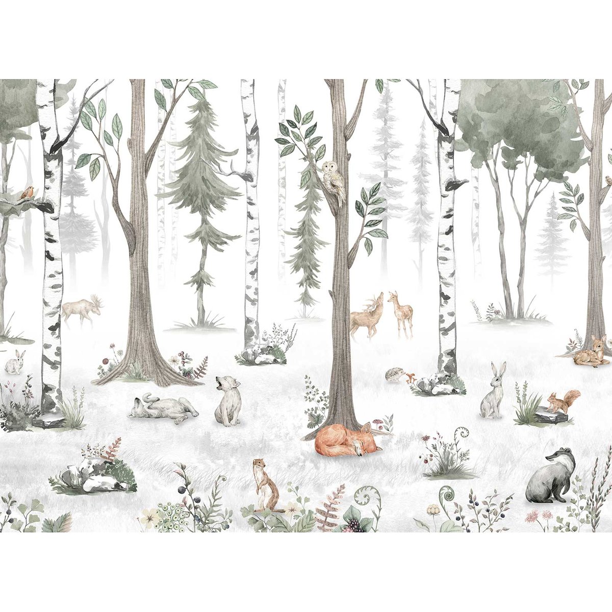 Papier enfant Forêt de bouleaux et Cie blanc, HEXOA