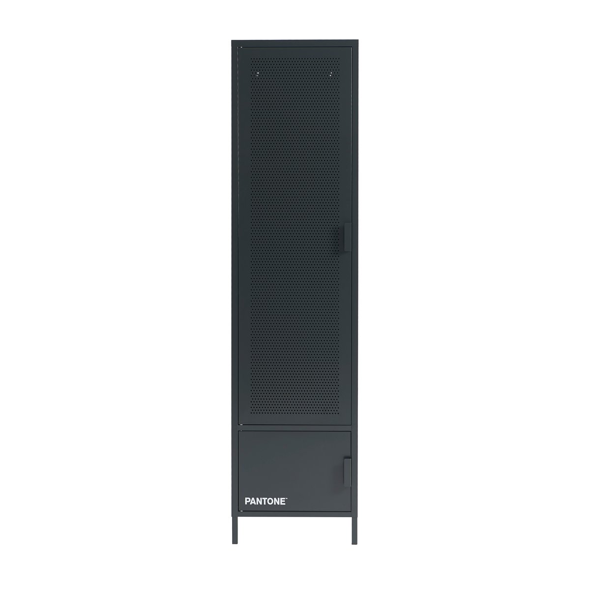Vestiaire en acier gris anthracite / tcx 19-5005, PANTONE
