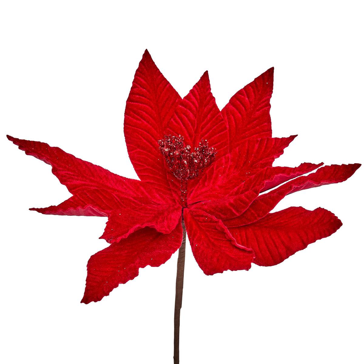 BCH POINSETTIA ROUGE H75 vert, ATMOSPHERA